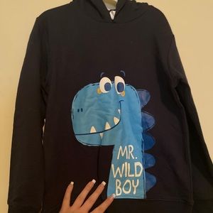 Boy Dinosaur Sweatshirt